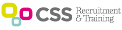 CSS Logo